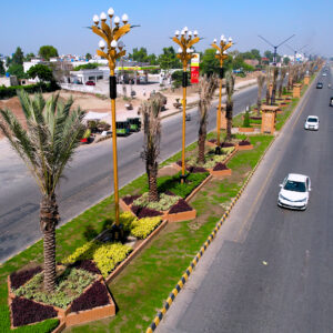 Central-Park.00_34_35_05.Still005