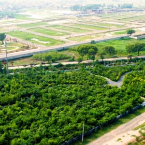 WhatsApp-Image-2025-02-15-at-12.52.52-PM