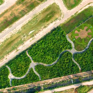 WhatsApp-Image-2025-02-15-at-12.52.53-PM